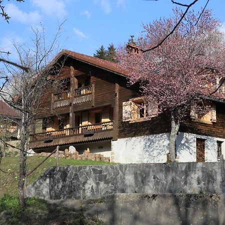 Sous Les Ecotagnes Villa Les Villards-sur-Thônes Buitenkant foto