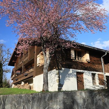 Sous Les Ecotagnes Villa Les Villards-sur-Thônes Buitenkant foto