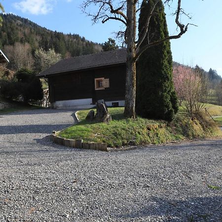 Sous Les Ecotagnes Villa Les Villards-sur-Thônes Buitenkant foto