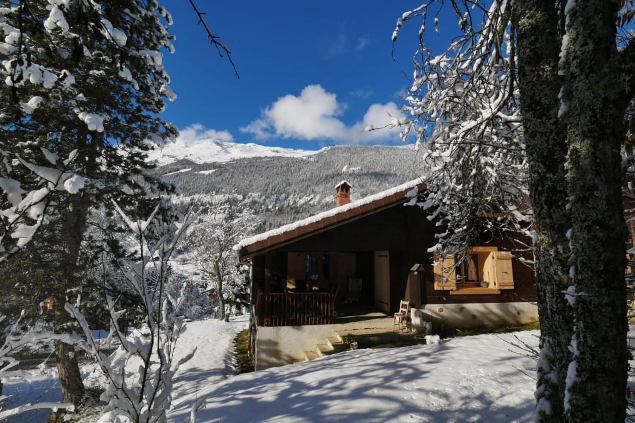 Sous Les Ecotagnes Villa Les Villards-sur-Thônes Buitenkant foto
