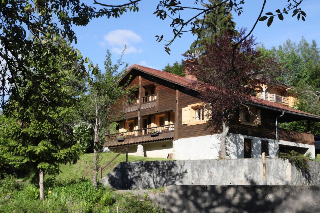 Sous Les Ecotagnes Villa Les Villards-sur-Thônes Buitenkant foto