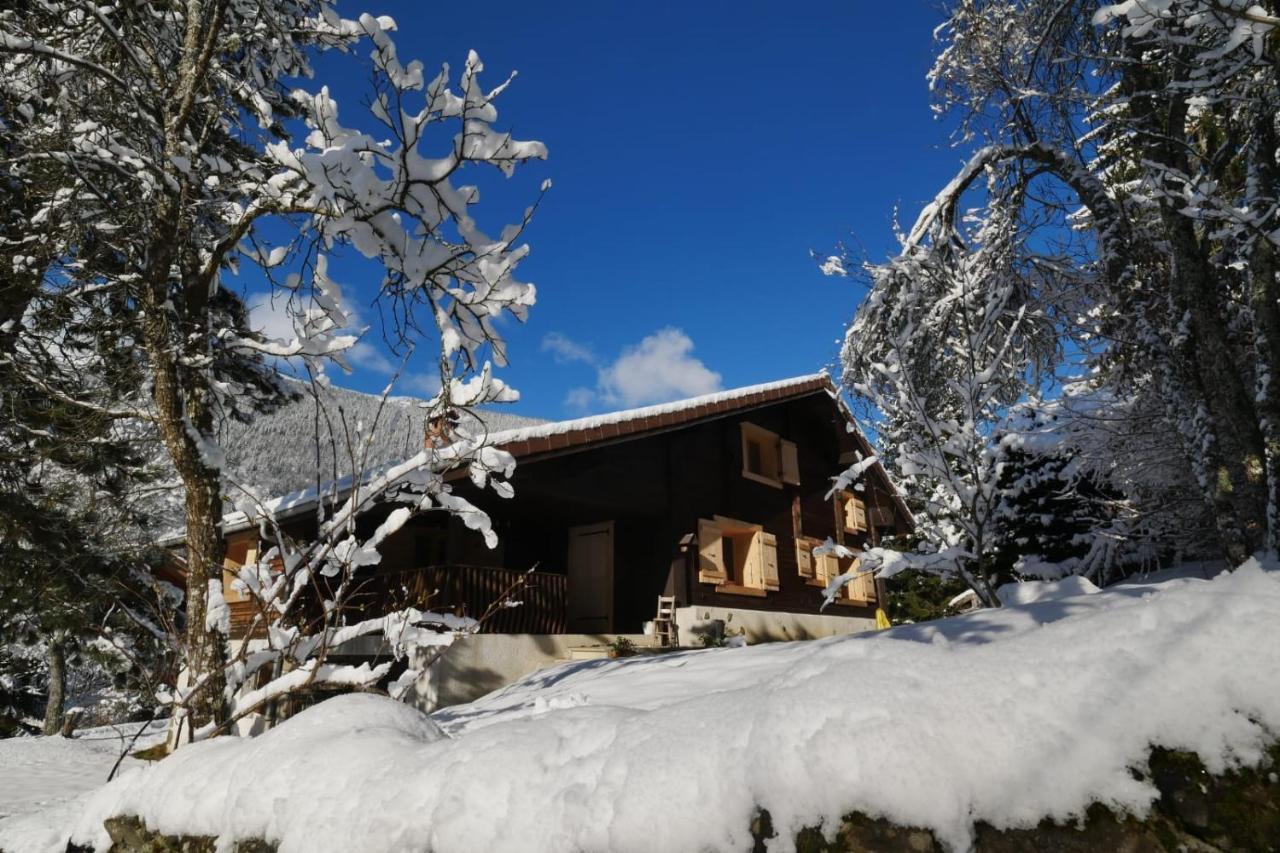 Sous Les Ecotagnes Villa Les Villards-sur-Thônes Buitenkant foto